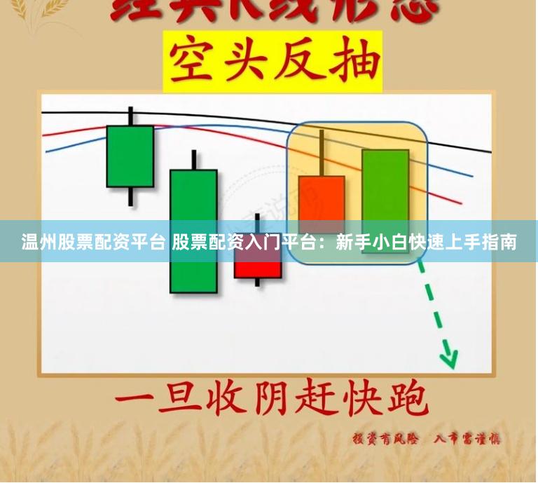 温州股票配资平台 股票配资入门平台：新手小白快速上手指南