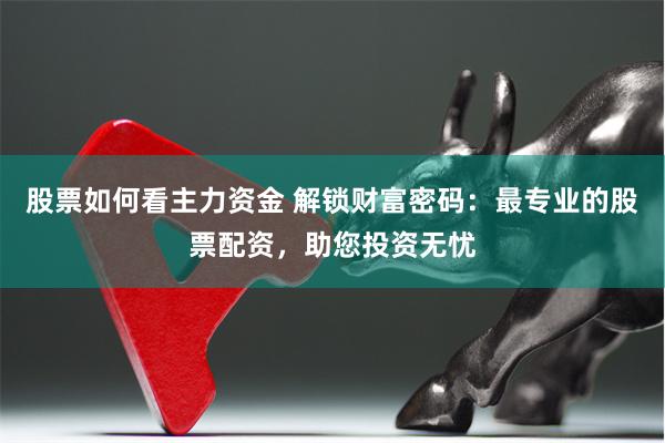 股票如何看主力资金 解锁财富密码：最专业的股票配资，助您投资无忧