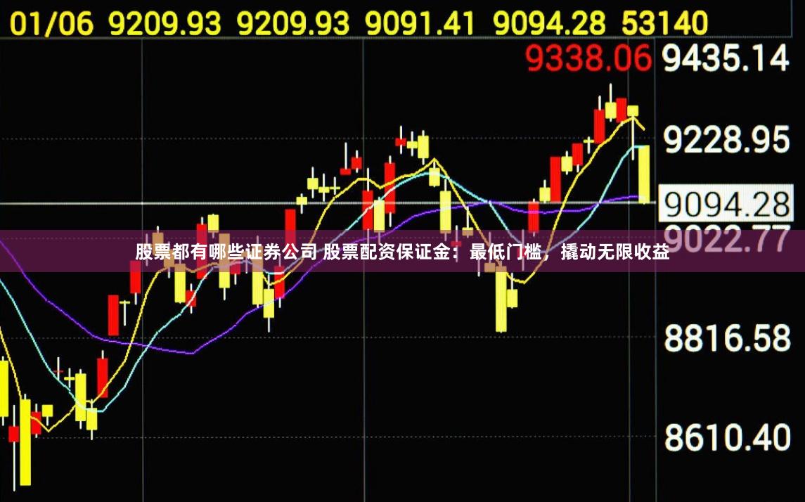 股票都有哪些证券公司 股票配资保证金：最低门槛，撬动无限收益