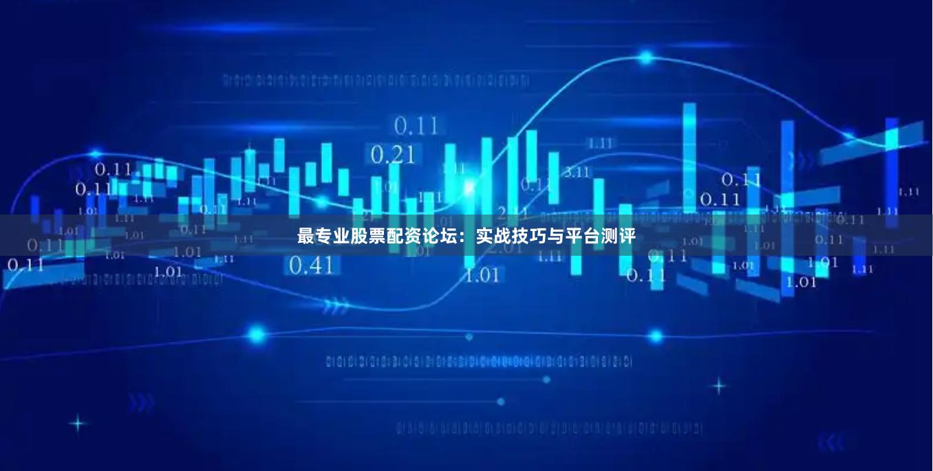 最专业股票配资论坛：实战技巧与平台测评