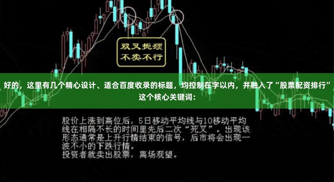 好的，这里有几个精心设计、适合百度收录的标题，均控制在字以内，并融入了“股票配资排行”这个核心关键词：