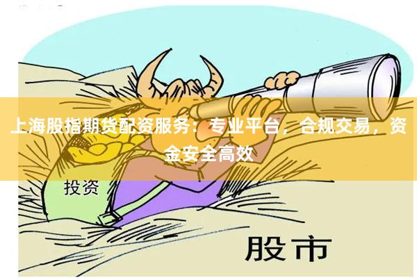 上海股指期货配资服务：专业平台，合规交易，资金安全高效
